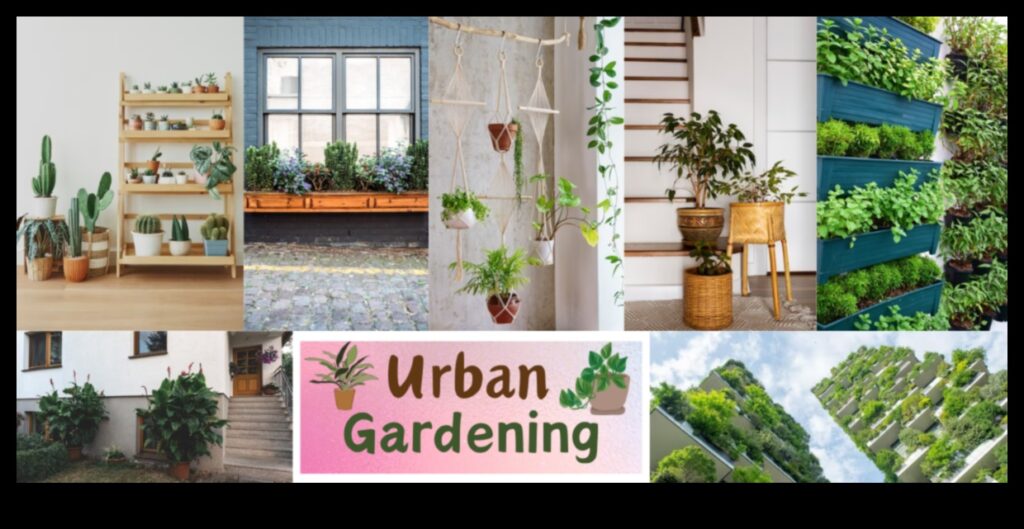 Greener Spaces Container Gardening for Urban Retreats 1