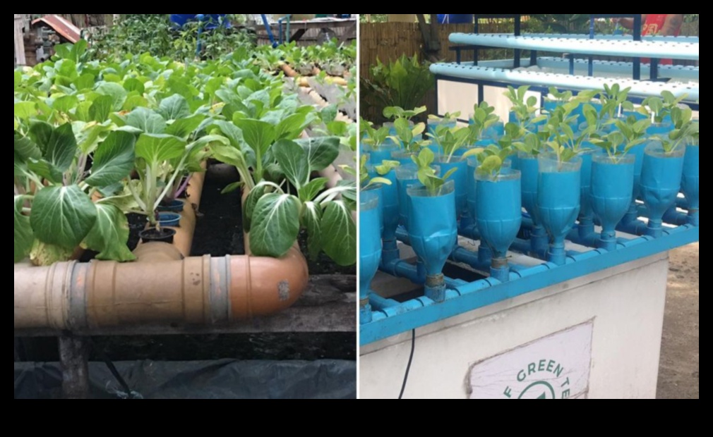 Greener Spaces: Container Gardening for Urban Retreats