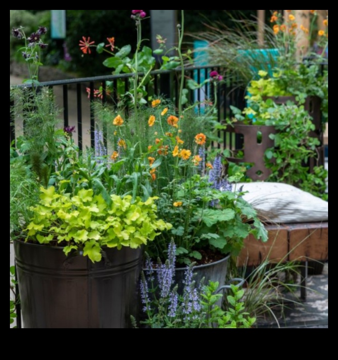 Greener Spaces: Container Gardening for Urban Retreats