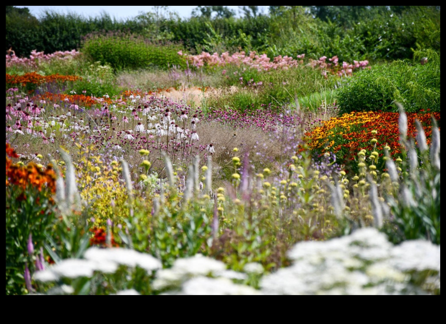 Greener Together: Cultivating Vibrant Gardens through Pairing