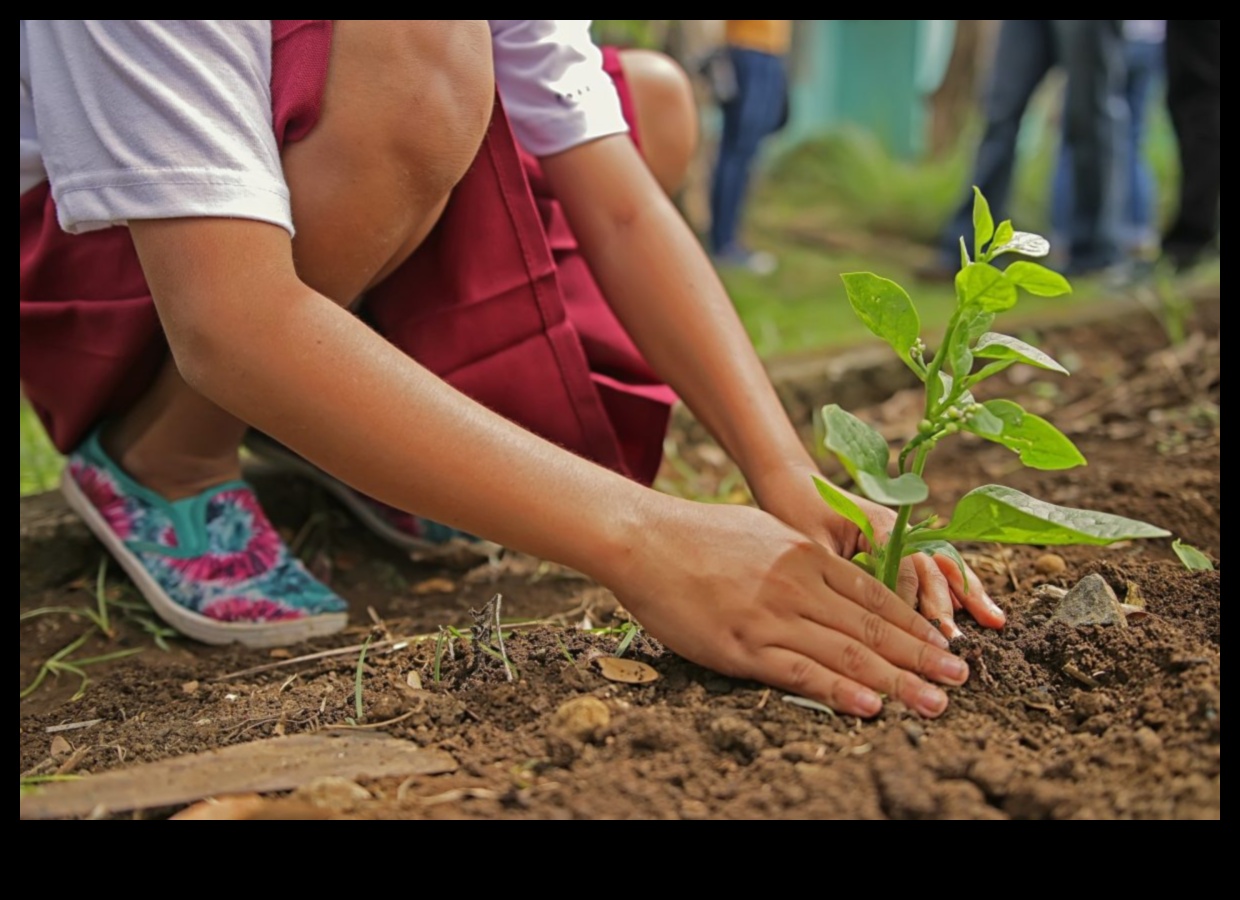 Greener Together: Collaborative Practices for Optimal Garden Maintenance