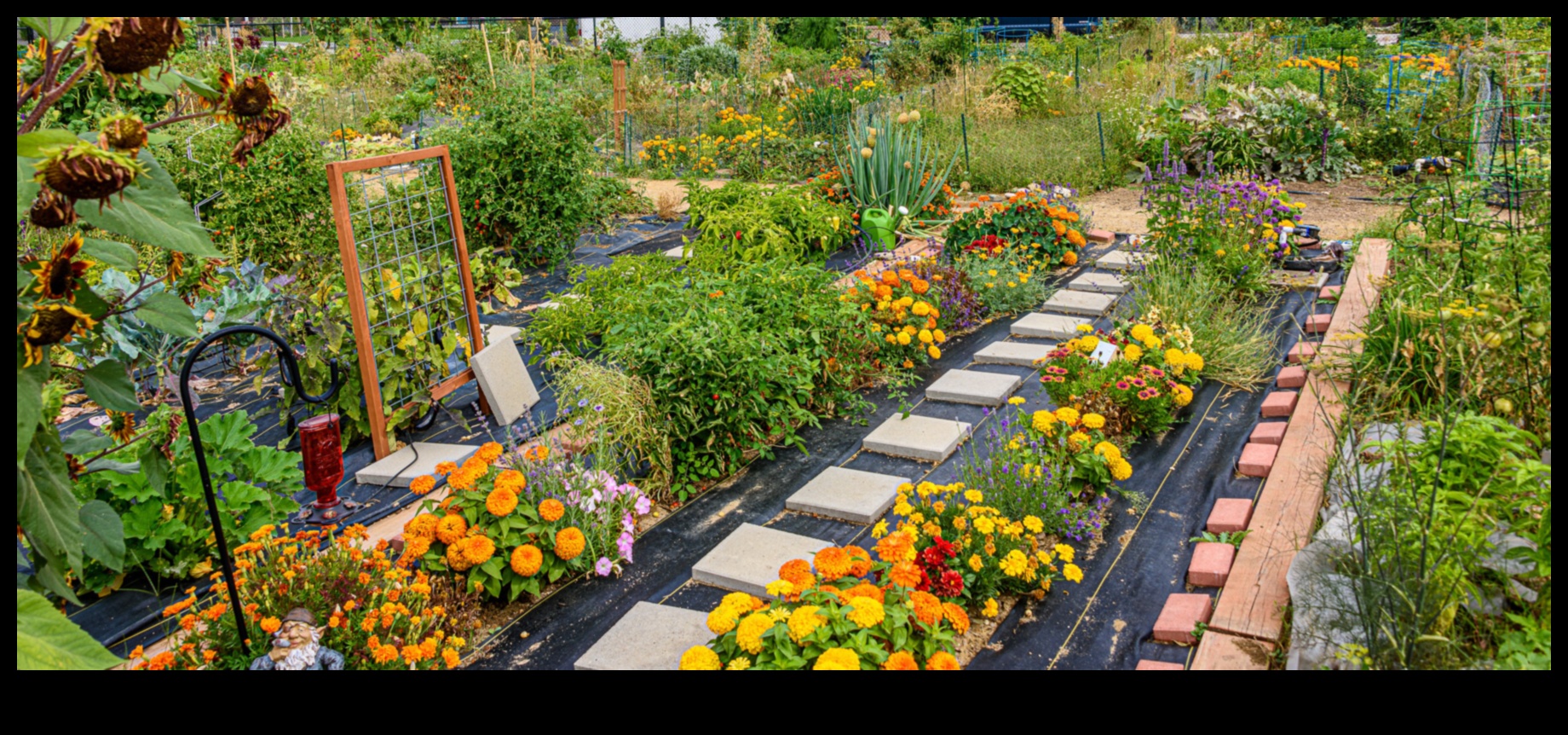 Greener Together: Collaborative Practices for Optimal Garden Maintenance