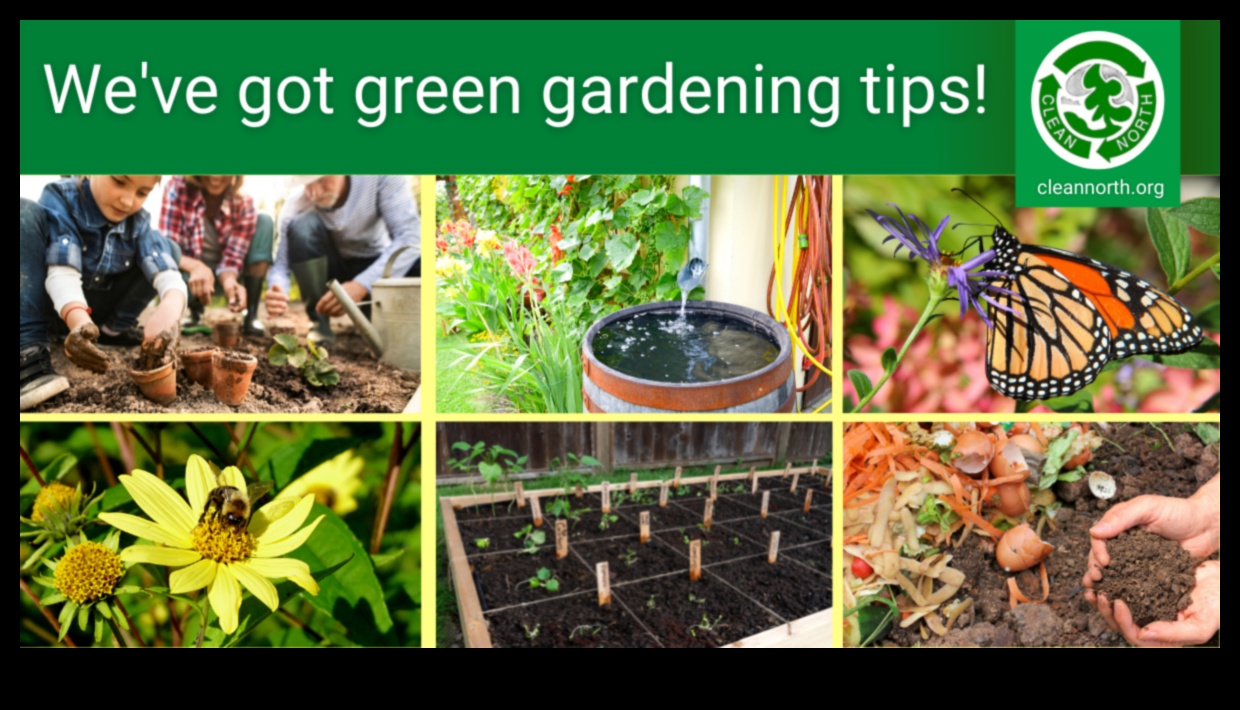 Greener Together: Collaborative Practices for Optimal Garden Maintenance