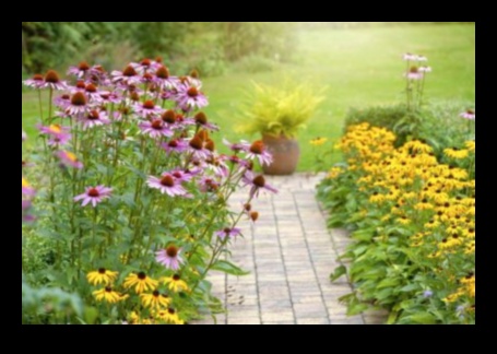 Greener Together: Crafting Vibrant Gardens with Pairing