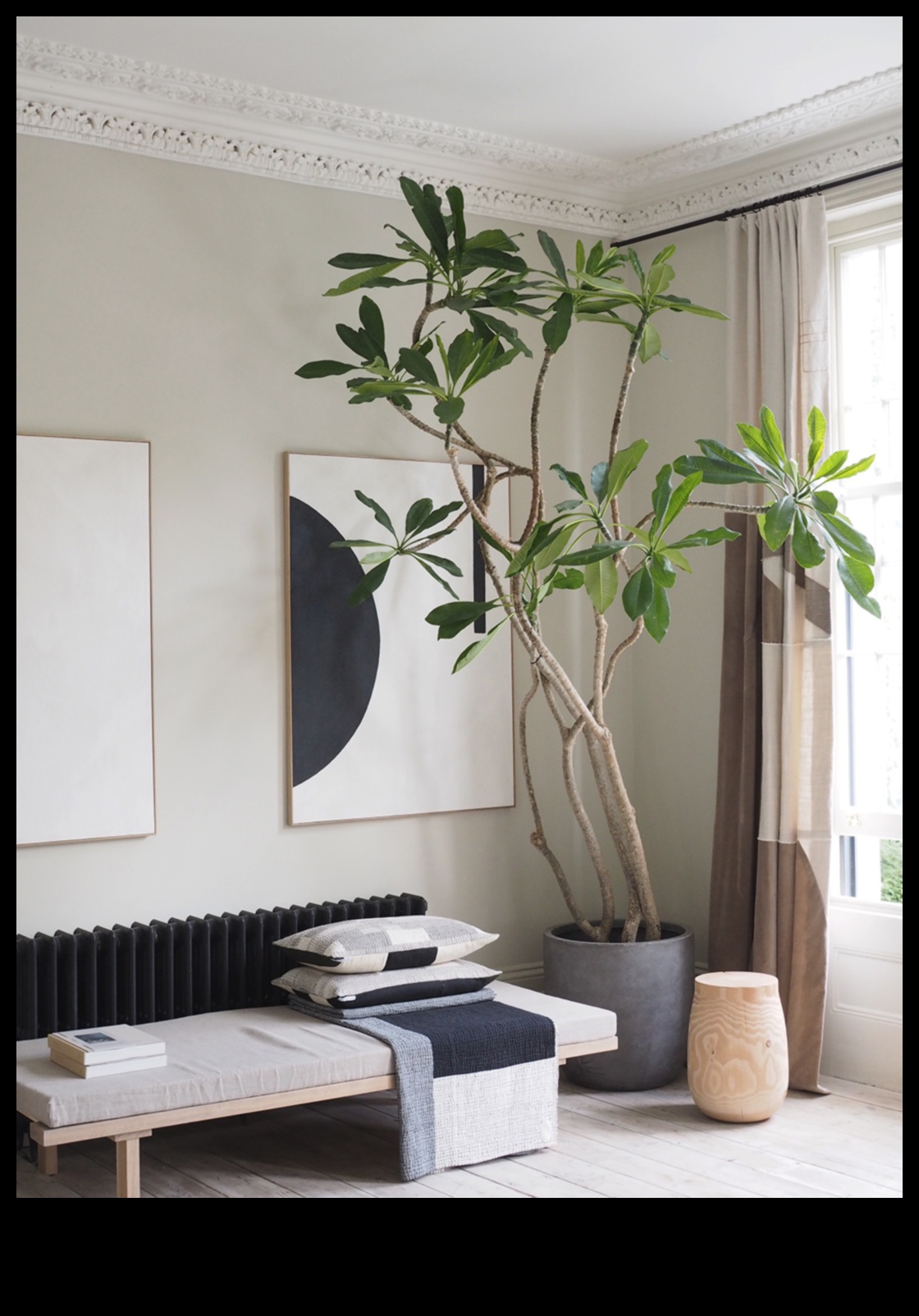 Greenery Glam A Stylish Way to Bring the Outdoors In 2 Greenery Glam: Stylish Accents for a Garden Wonderland