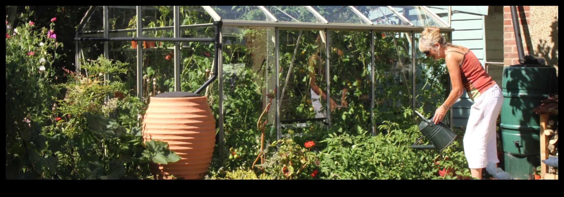 Greenery Guardianship A Gardener's Guide to PestsHow to Keep Your Plants Healthy and Pest-Free 1 Greenery Guardianship: A Gardener's Guide to Pests