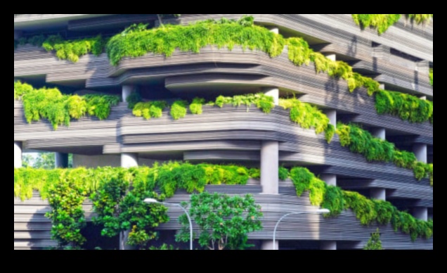 Greening the City with Plants 2 Urban Flora: Plants and Flowers in City Parks