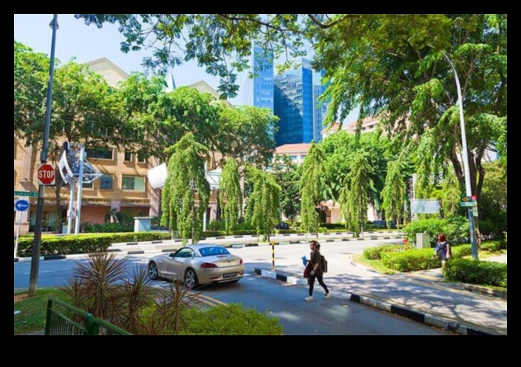 Greening the City with Plants 4 Urban Flora: Plants and Flowers in City Parks