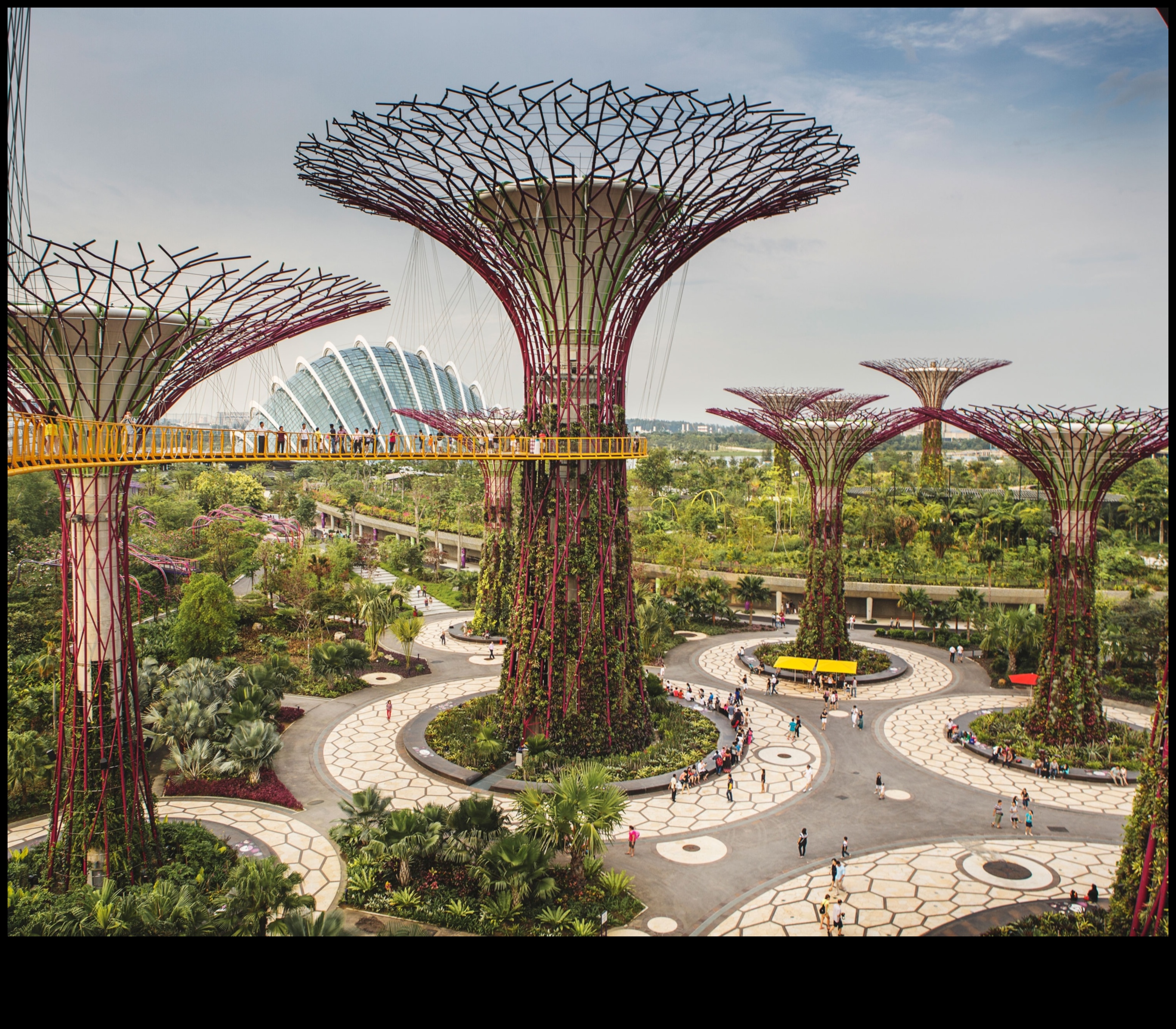 Greening the City with Plants 5 Urban Flora: Plants and Flowers in City Parks