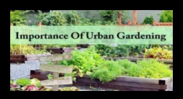 Greening the Concrete Jungle How Vertical Gardening Can Create Urban Retreats 2 High-Rise Blooms: Vertical Gardening for Urban Retreats