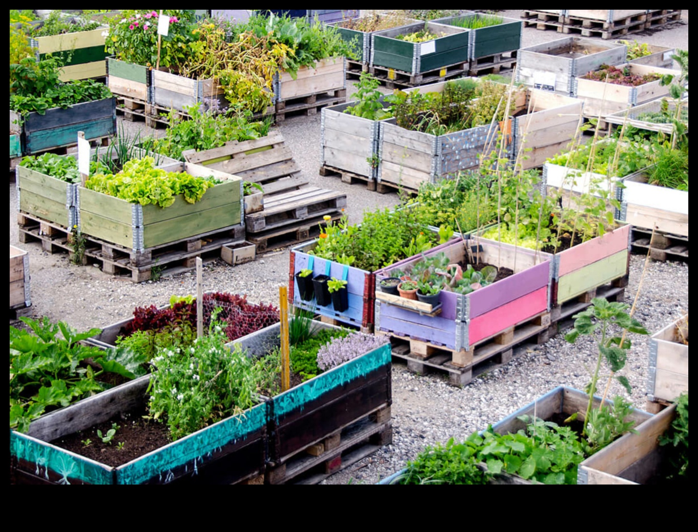 Greening the Concrete Jungle How Vertical Gardening Can Create Urban Retreats 5 High-Rise Blooms: Vertical Gardening for Urban Retreats
