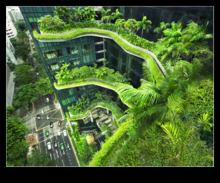 Greening the Concrete Jungle 4 Why are garden landscapes important in urban planning?