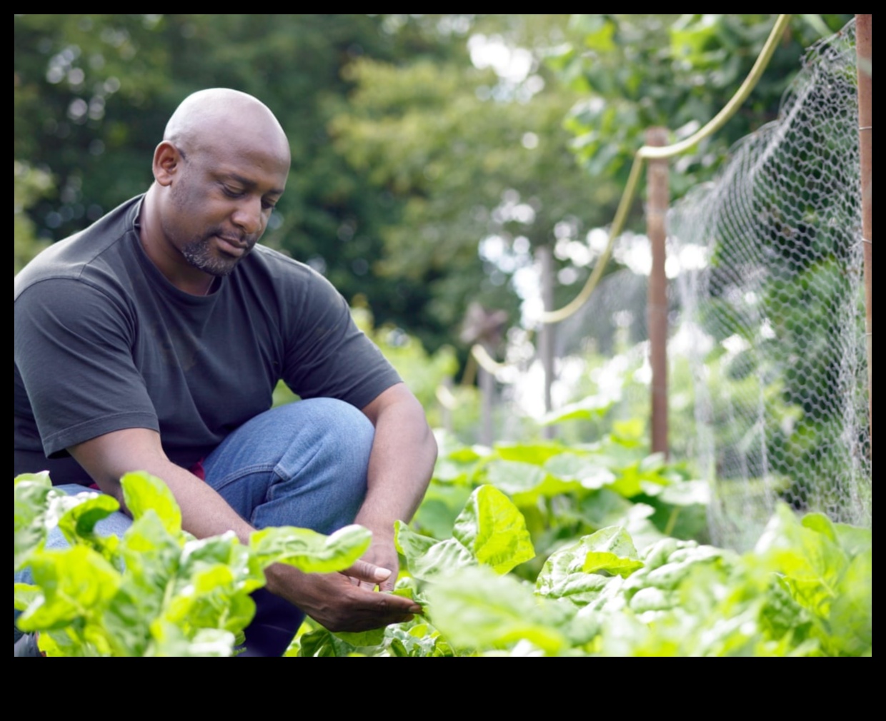 Greens Guardian A Comprehensive Guide to Protecting Your Garden from Pests 3 Greens Guardian: Mastering Garden Pest Defense Tactics