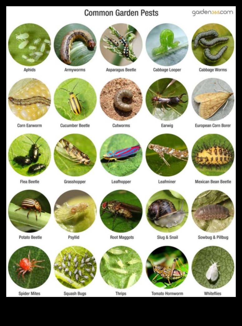 Greens Guardian A Guide to Dealing with Common Garden Pests 3 Greens Guardian: Navigating Troublesome Garden Pests