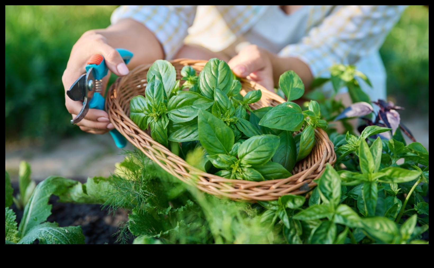 Greens Guardian: Defending Your Garden Against Pests