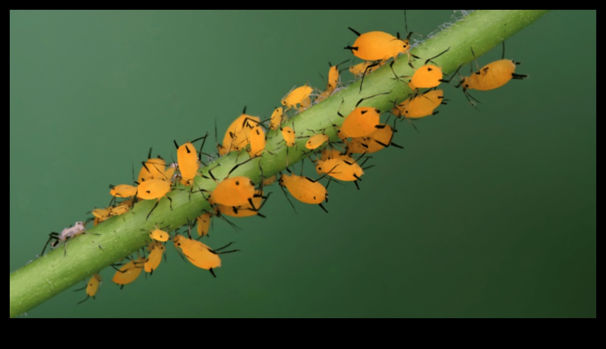 Greens Under Siege Master the Art of Pest Control 2 Greens Under Siege? Master the Art of Pest Control