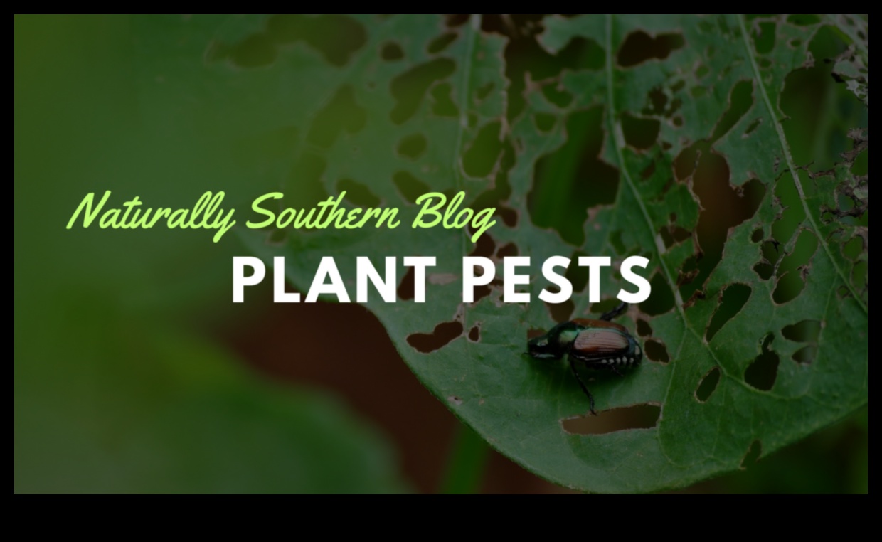 Greens Under Siege Master the Art of Pest Control 3 Greens Under Siege? Master the Art of Pest Control