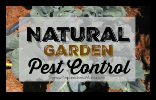 Greens in Peril Master the Art of Garden Pest Defense 4 Greens in Peril? Mastering the Art of Garden Pest Defense