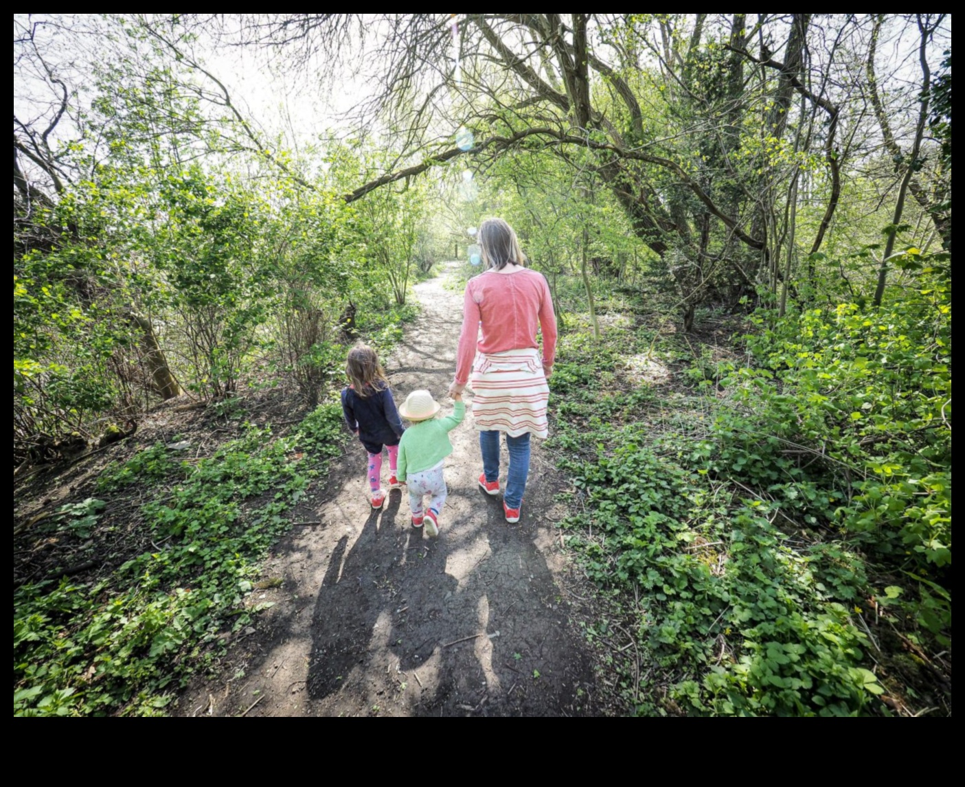 Urban Greenways: Pathways through City Parks