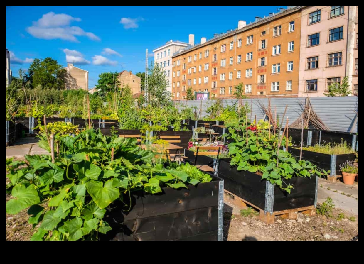 Grow Anywhere Urban Gardening Ideas That Thrive in Any Space 1 Grow Anywhere: Urban Gardening Ideas That Thrive