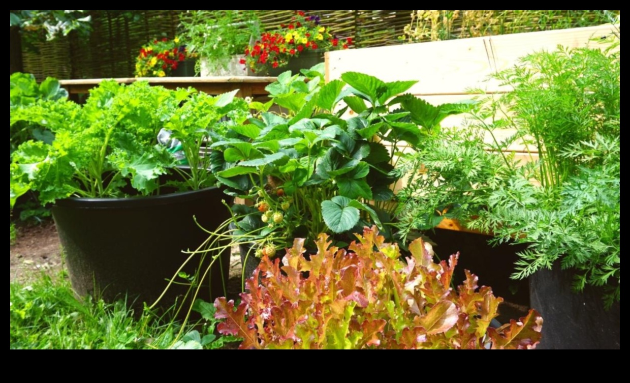 Grow Anywhere Urban Gardening Ideas That Thrive in Any Space 2 Grow Anywhere: Urban Gardening Ideas That Thrive