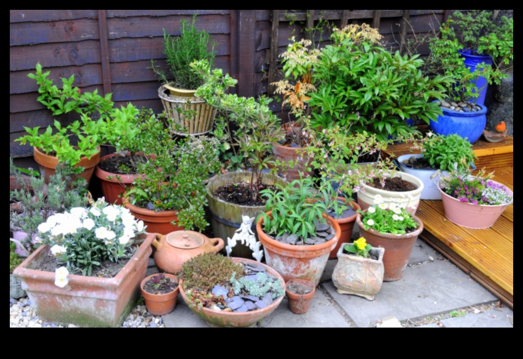 Grow Anywhere Urban Gardening Ideas That Thrive in Any Space 3 Grow Anywhere: Urban Gardening Ideas That Thrive