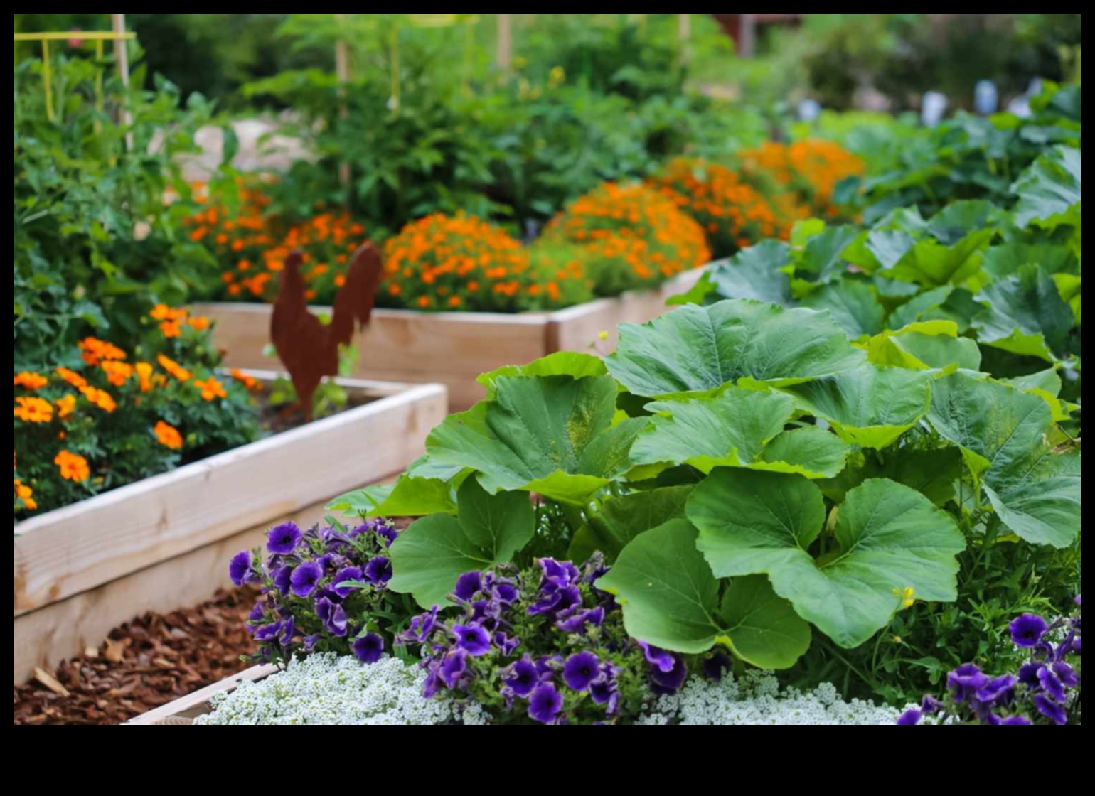 Grow Anywhere Urban Gardening Ideas That Thrive in Any Space 4 Grow Anywhere: Urban Gardening Ideas That Thrive