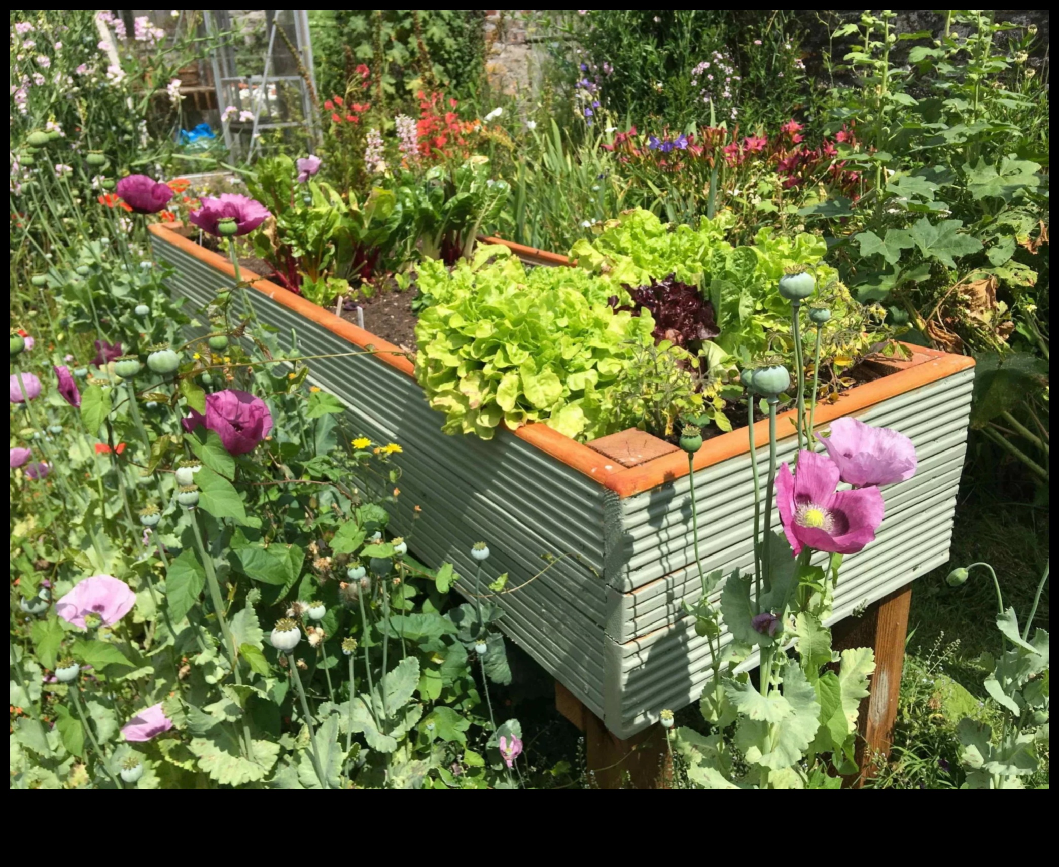 Grow Greatness: Elevate Your Garden with Premium Tools