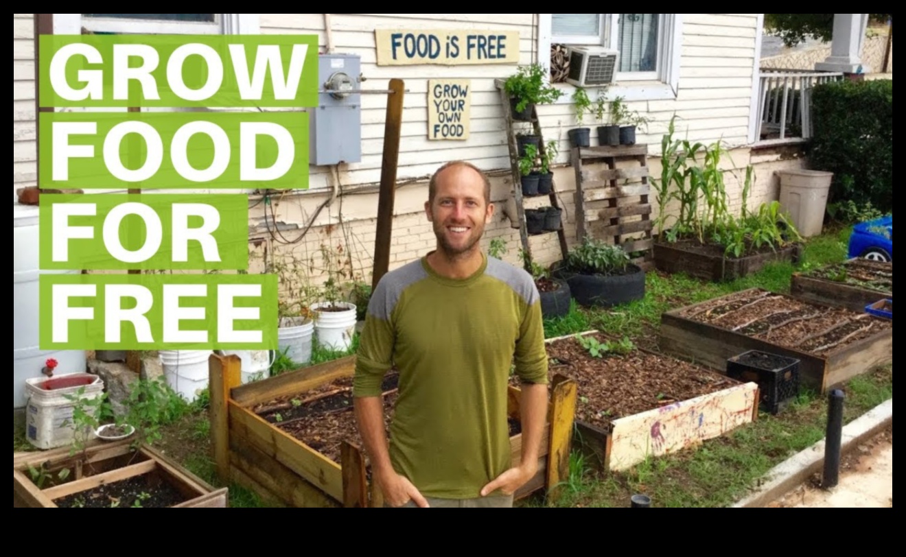 Metropolitan Green Thumb: Urban Gardening Hacks