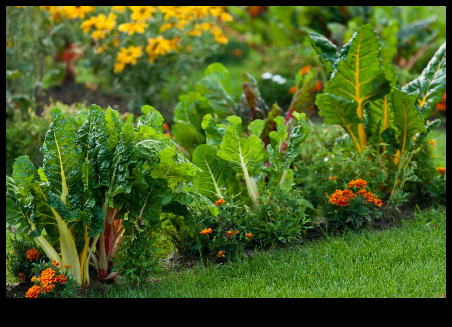 Floral Companions: Cultivating Thriving Gardens with Pairing