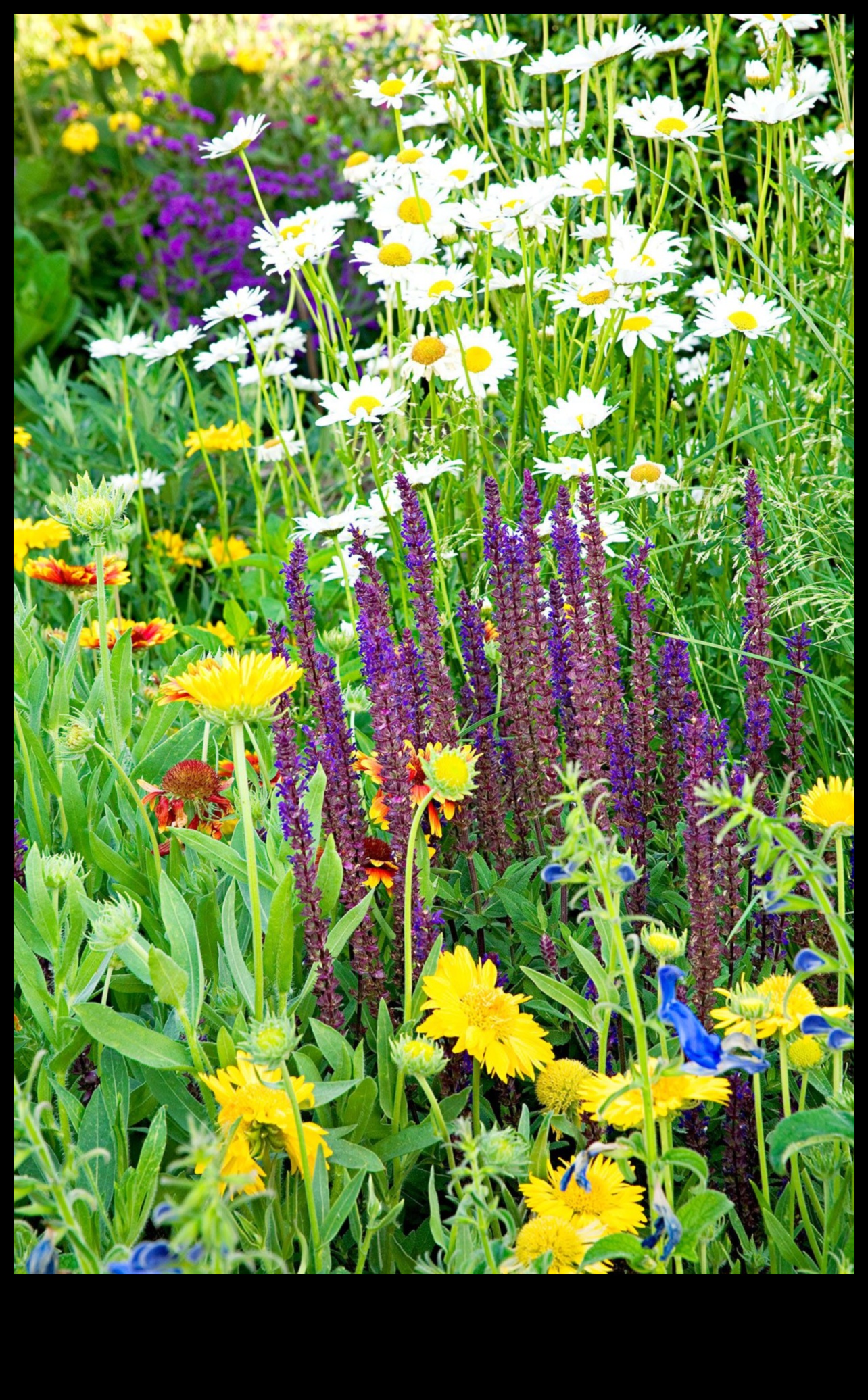 Floral Companions: Cultivating Thriving Gardens with Pairing