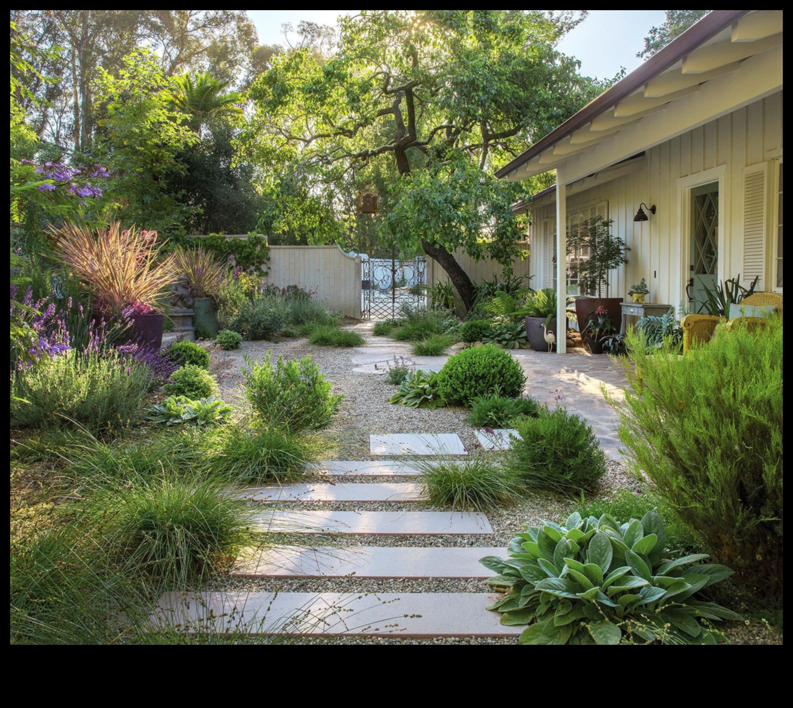 Grow with Grace: Elevate Your Garden with Top Tools