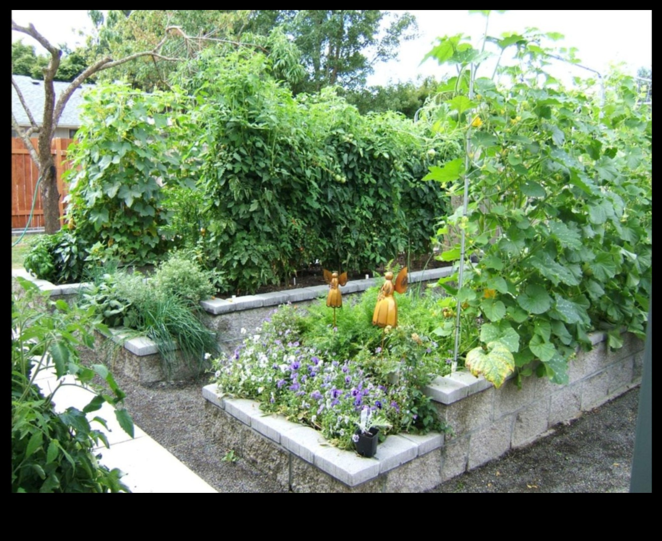 Growing Upwards: Vertical Gardening for Every Space