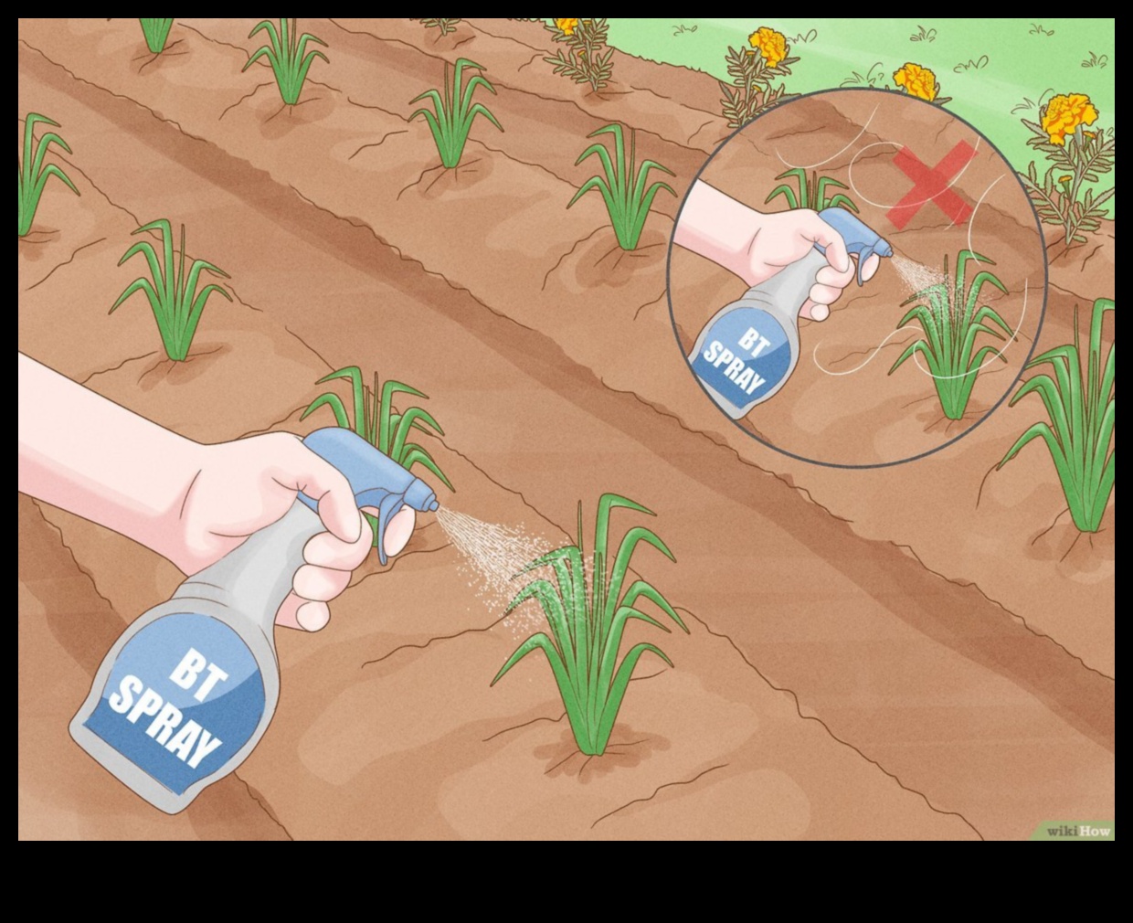 Guard Your Greens: Tips to Combat Garden Pests