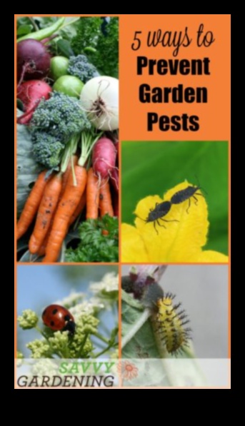 Guard Your Greens: Tips to Combat Garden Pests