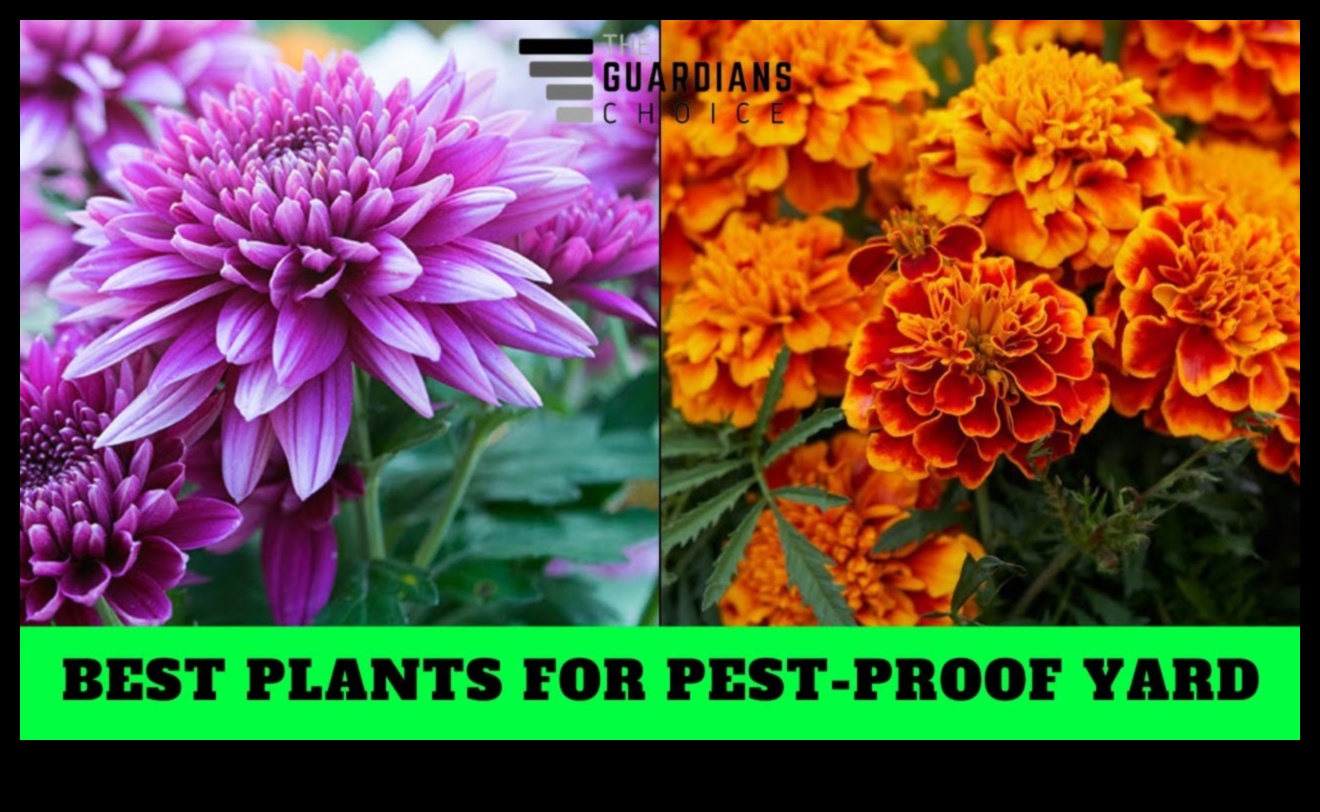 Guardians of Greenery: Strategies for a Pest-Resistant Garden