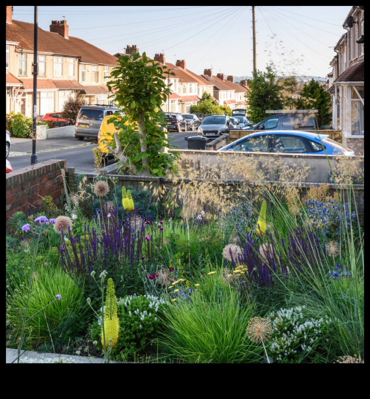 Guardians of Greenery: Strategies for a Pest-Resistant Garden