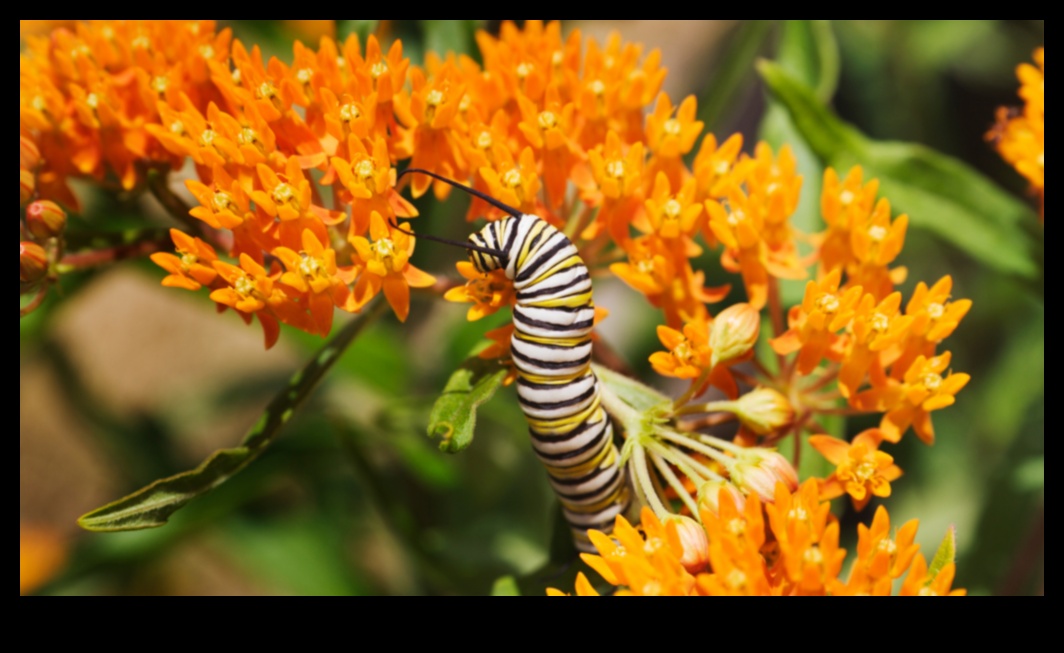 Guardians of Greenery: Strategies for a Pest-Free Sanctuary