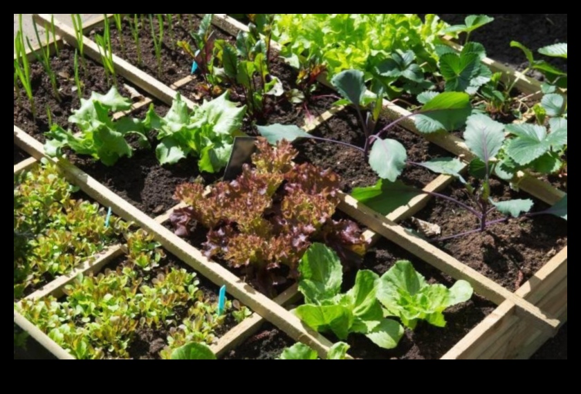 Harmonious Gardens: Unveiling the Magic of Companion Planting