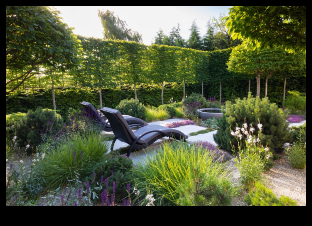 Harmony in Bloom: Your Guide to Seamless Garden Maintenance