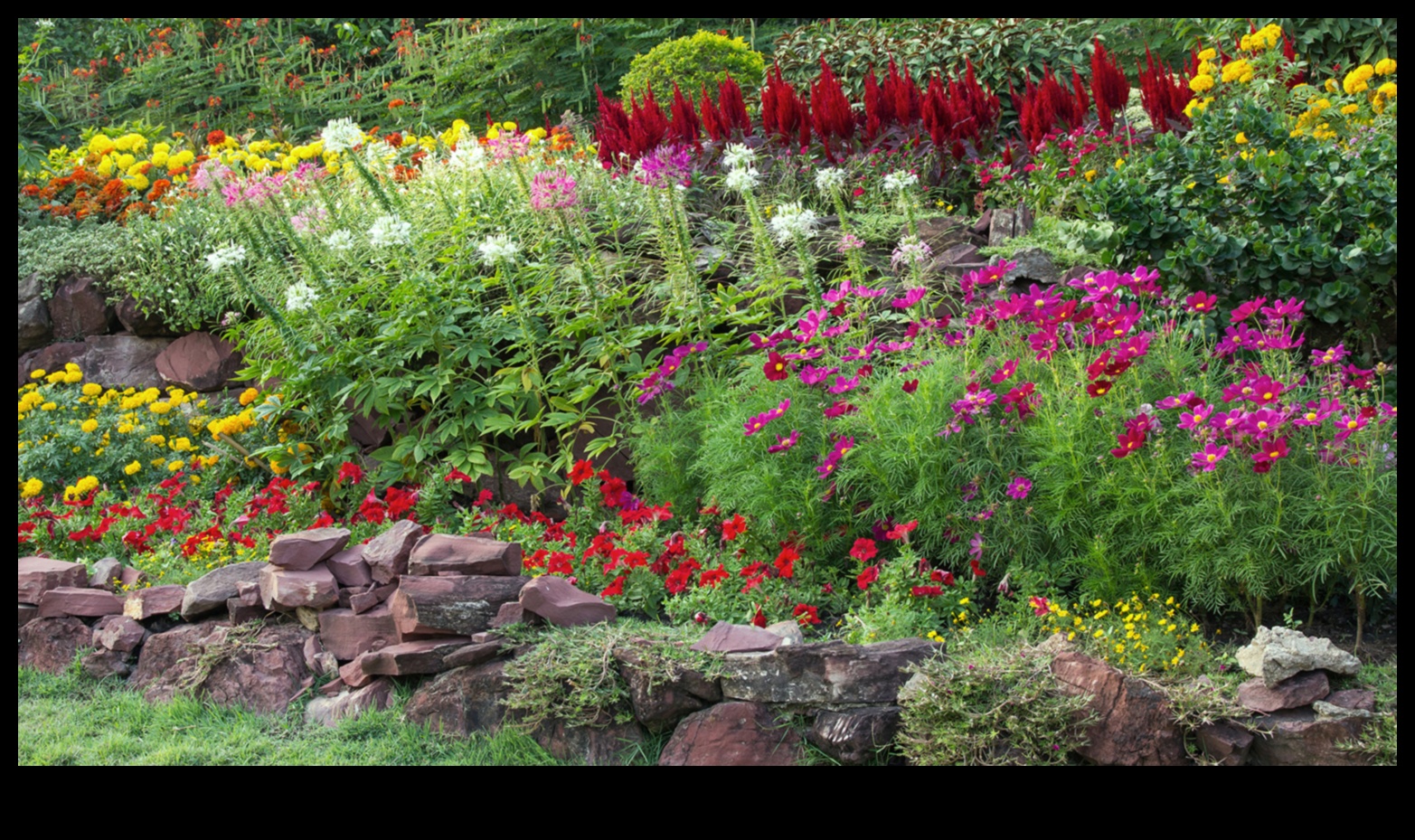 Harmony in Bloom: Your Guide to Seamless Garden Maintenance