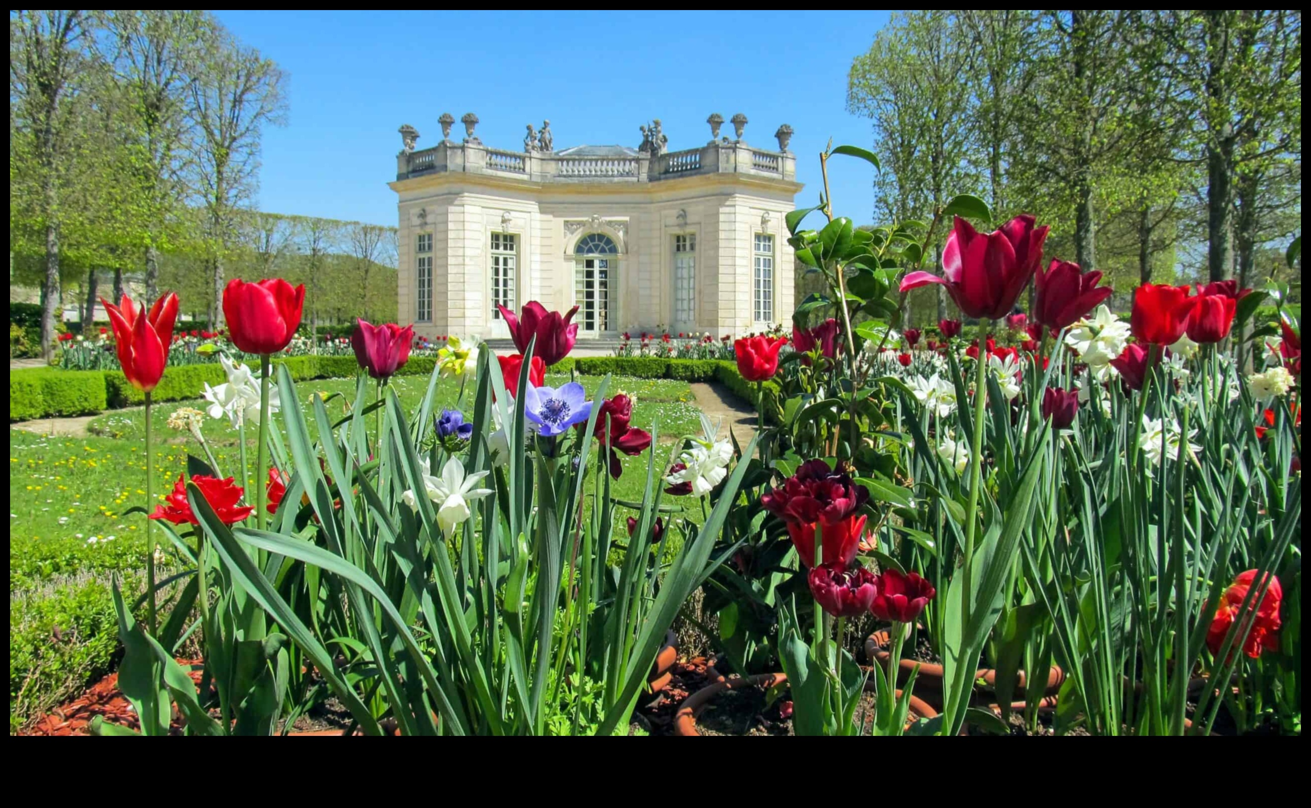 Harmony in Bloom Stylish Accents to Elevate Your Garden Oasis 2 Harmony in Bloom: Stylish Accents for Your Garden Oasis