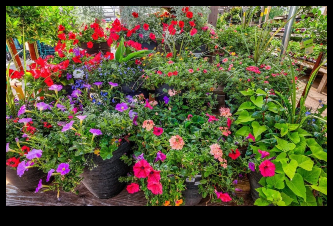 Harmony in Bloom: Upgrade Your Garden Gear for Success