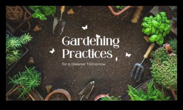 Harmony in Horticulture: Orchestrating Nature's Beauty