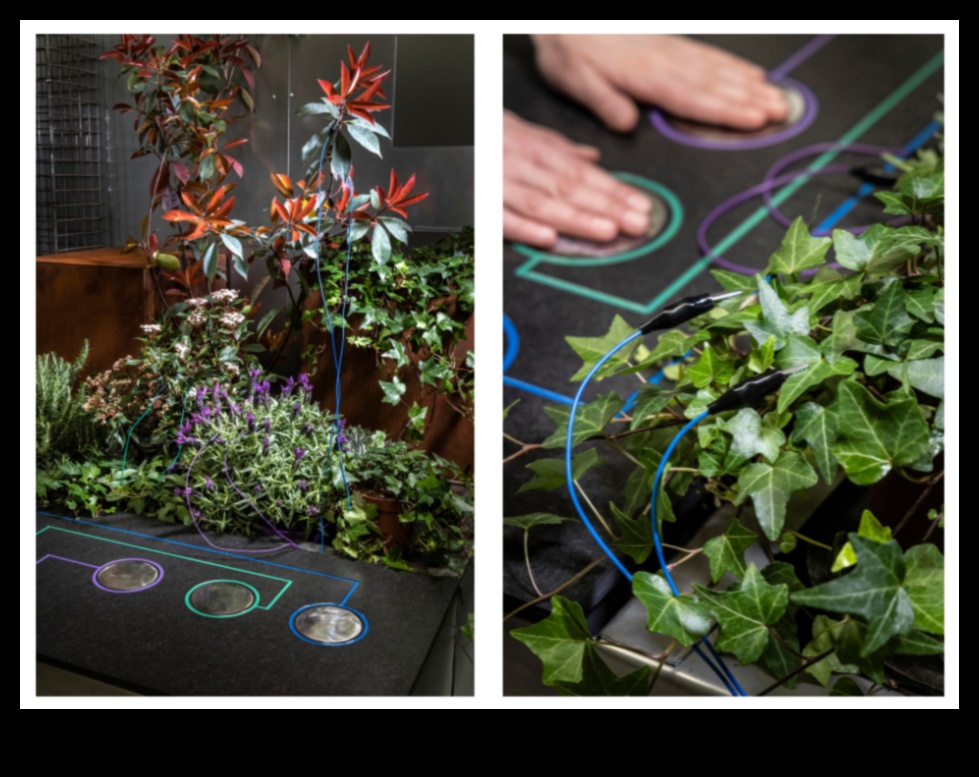 Harmony in Horticulture: Orchestrating Nature's Beauty