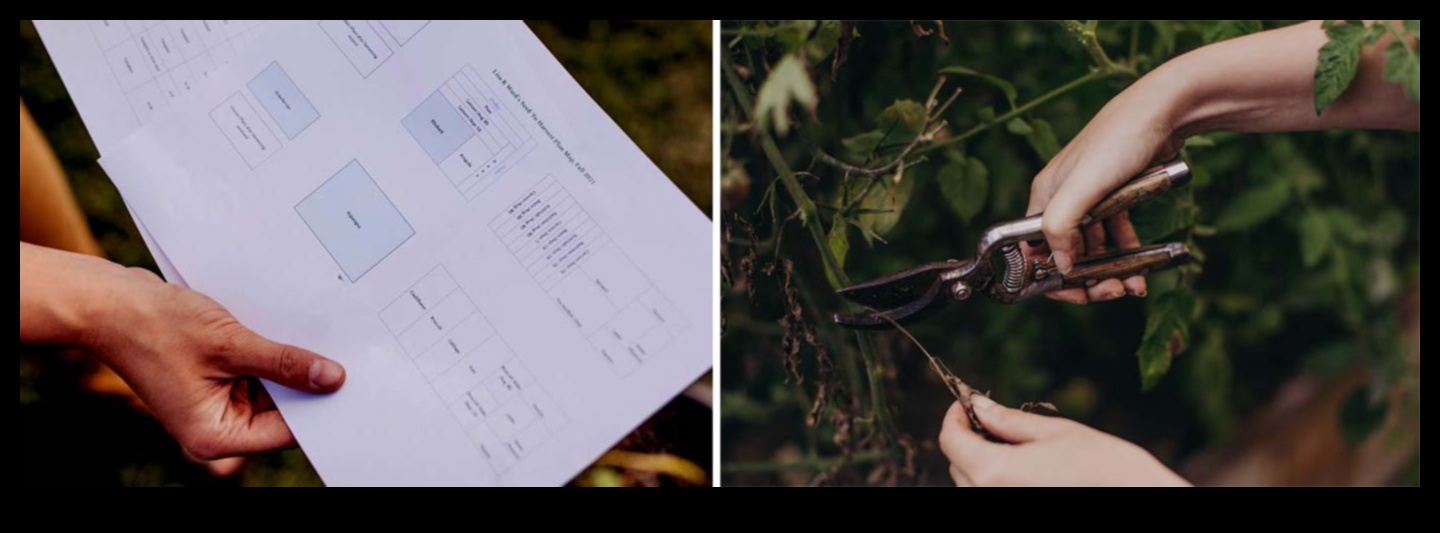 Harvest Happiness: Practical Tips for a Bountiful Garden