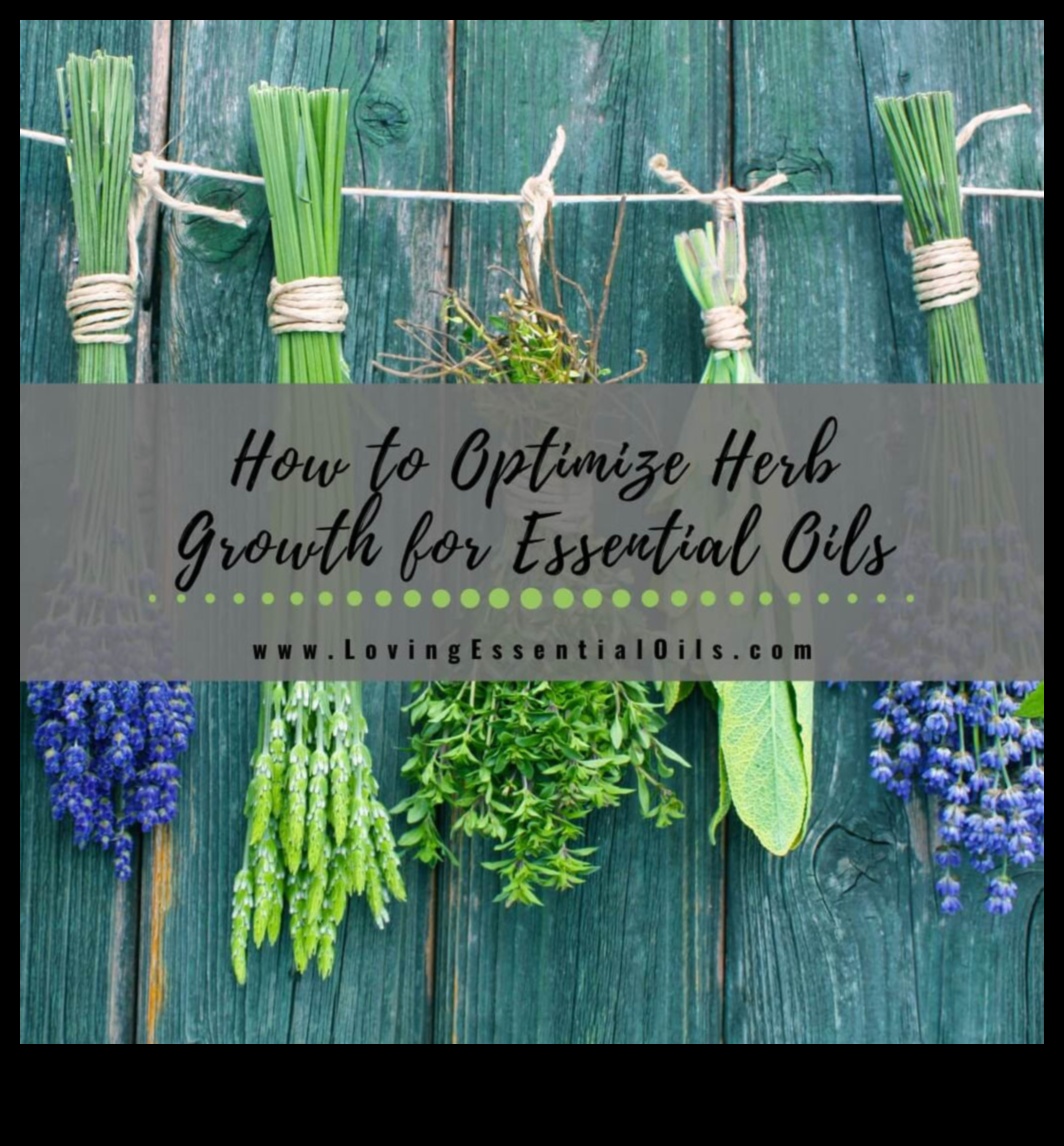 Harvest Happiness: Greenhouse Bounty Awaits You