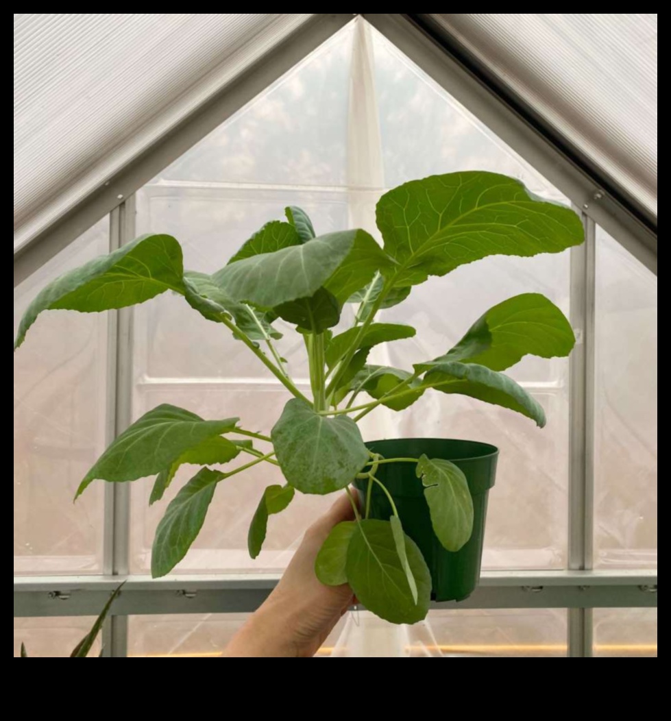 Harvest Happiness: Greenhouse Bounty Awaits You