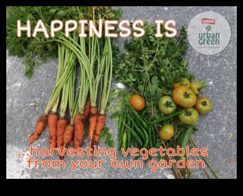 Harvest of Happiness A Guide to Growing Your Own Garden 1