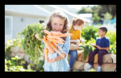 Harvest of Happiness: Essential Steps for Garden Success